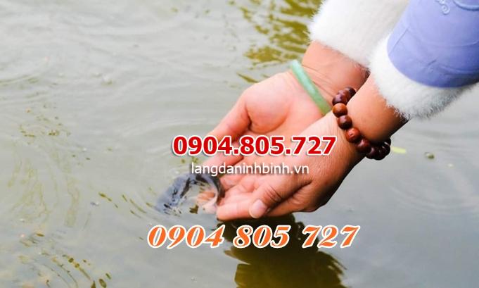 Bài văn khấn phóng sinh tại nhà các bước chuẩn bị vào các dịp lễ